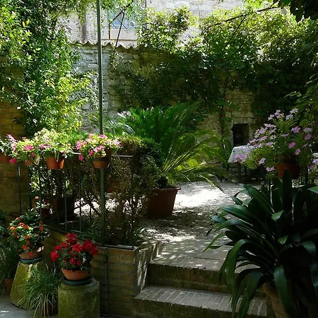 Umbra Assisi